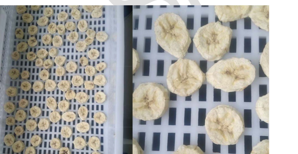 Reference image of dried banana slices