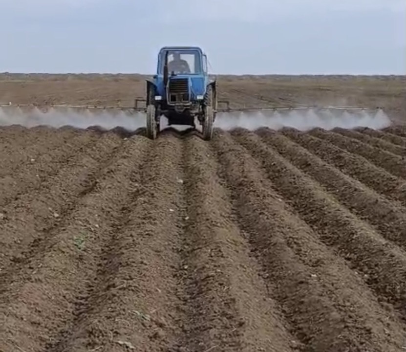 Tractor operating across agricultural rows